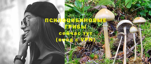 дурь Касимов