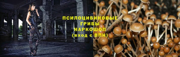 гашиш Карпинск