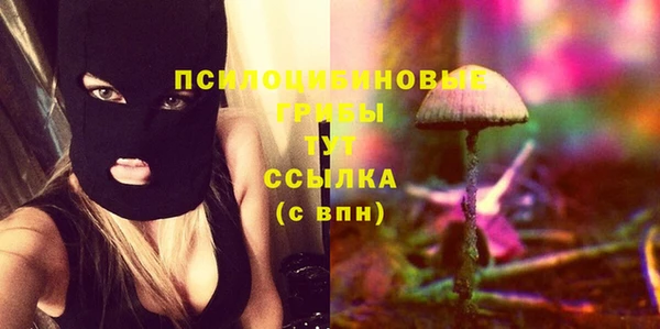 трава Кинешма