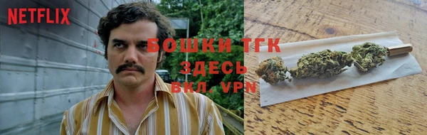 дурь Касимов